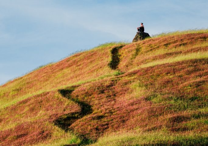 person-sitting-on-rock-near-green-grass-field-under-blue-sky-3814442